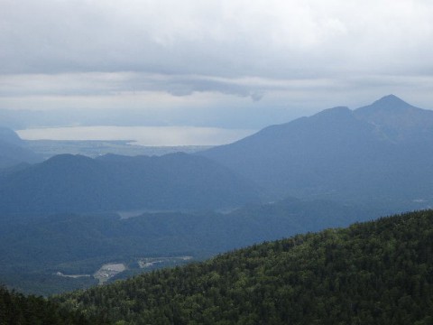 c0141223_15355068